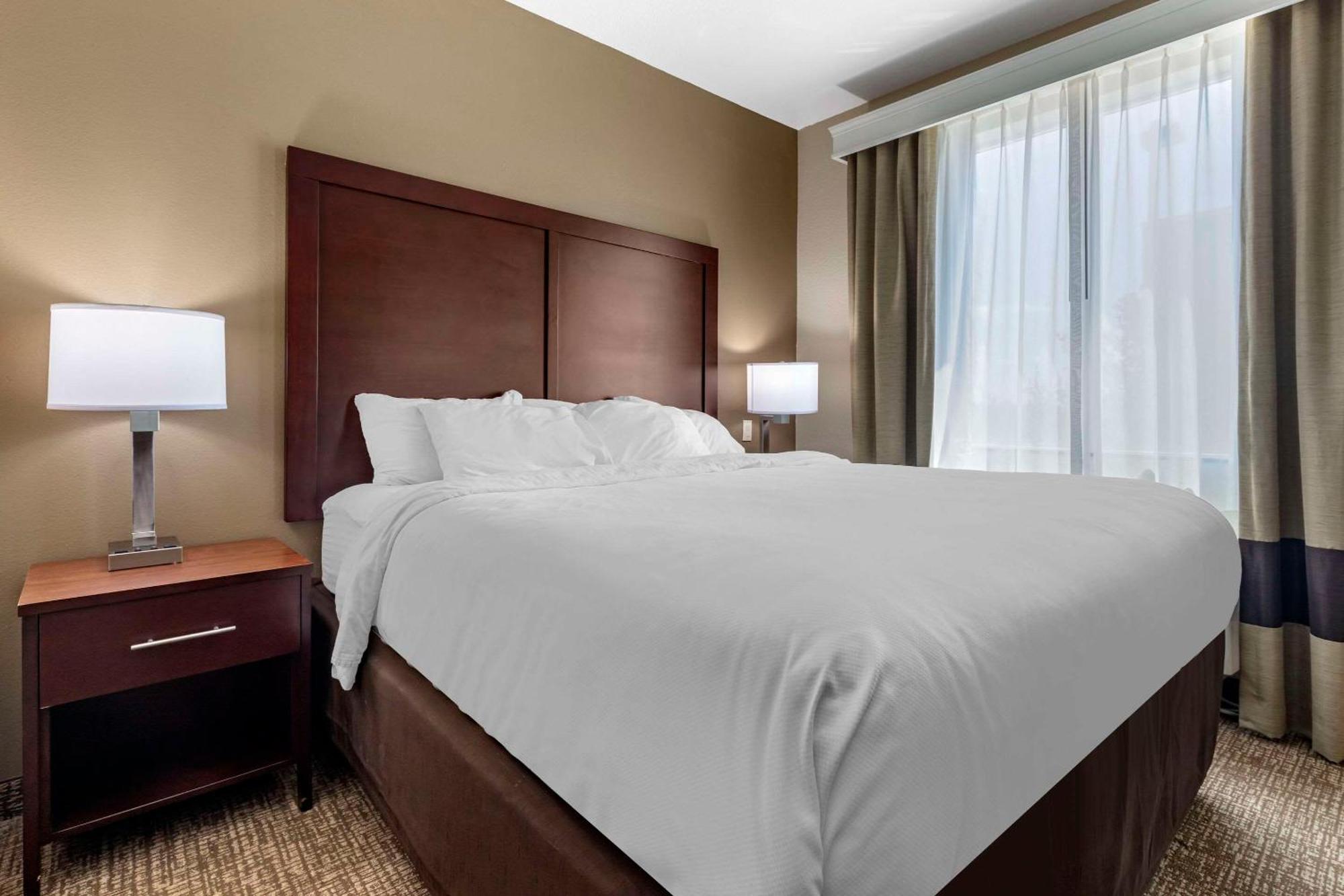 Comfort Suites Plano - Dallas North מראה חיצוני תמונה