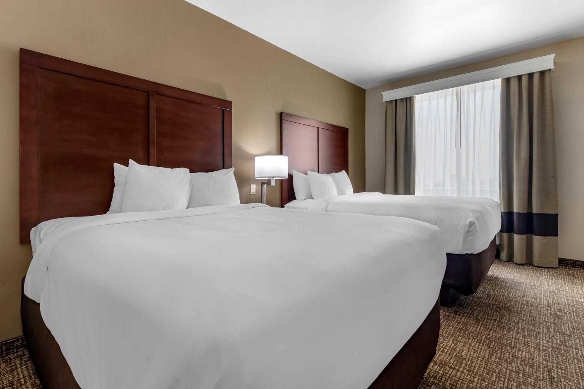 Comfort Suites Plano - Dallas North מראה חיצוני תמונה